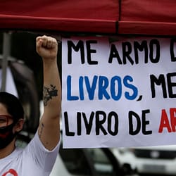 Bolsonaro – Democracia em Risco em Dose Dupla