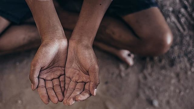 Consequências da Pandemia e Descaso do Governo Bolsonaro