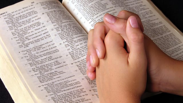 O caminho de mudança está na Sabedoria e na lei de solidariedade sobre sua língua (Pr 31,26)